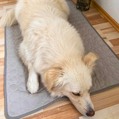 Cooling hondenmat 1+1 gratis